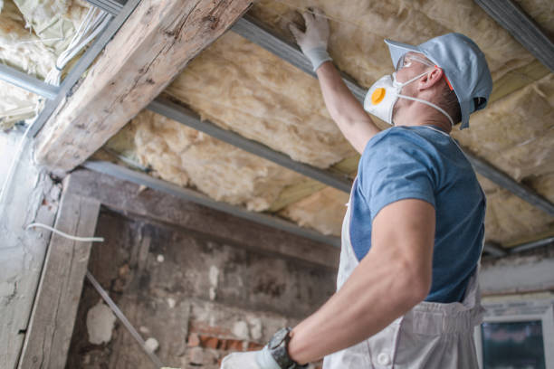 Best Insulation for Specific Applications in Bay Hill, FL