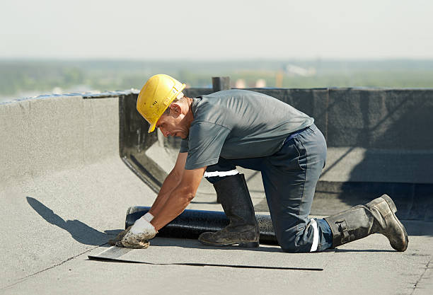 Best Insulation Installation Services in Bay Hill, FL